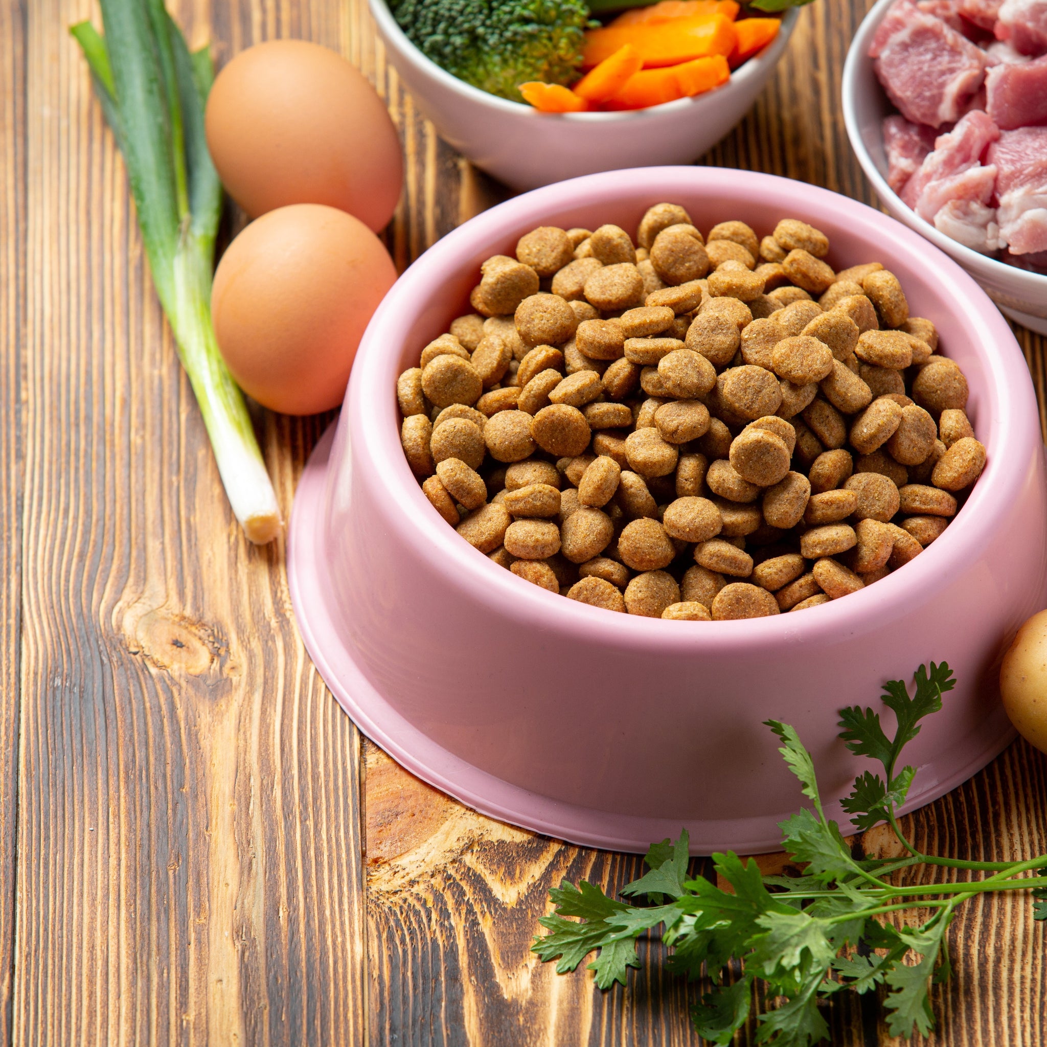 Foods that can cause riot in your dog's gut!