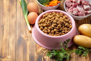Foods that can cause riot in your dog's gut!