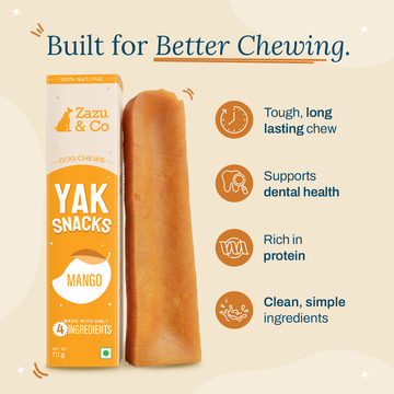 Yak Snacks - Mango