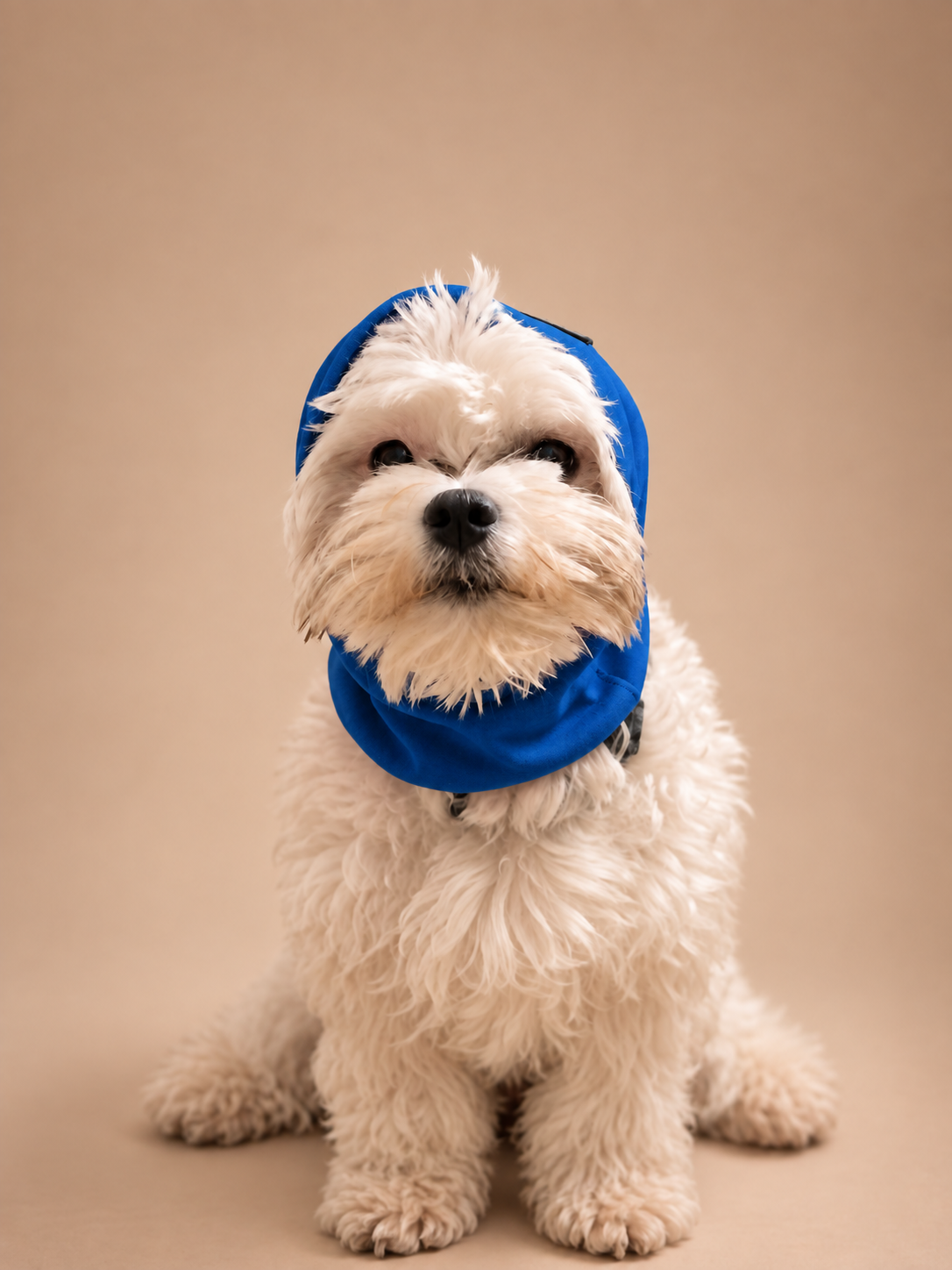 Dog Snood | Ear Muffler & Warmer for Puppies & Dogs