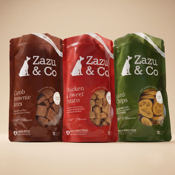 Non-Vegetarian Treats Trial Pack | 100% Natural Preservative Free Dog Treats