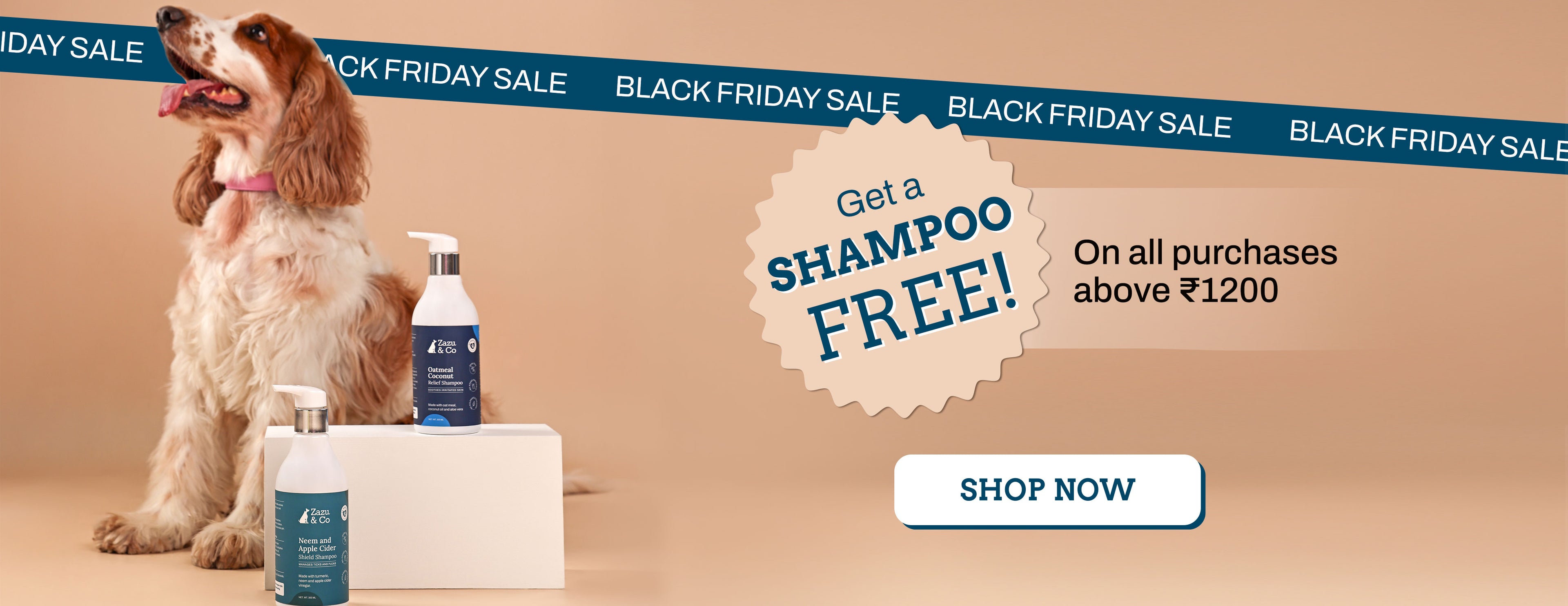 slider image slider_item_eQXbU4