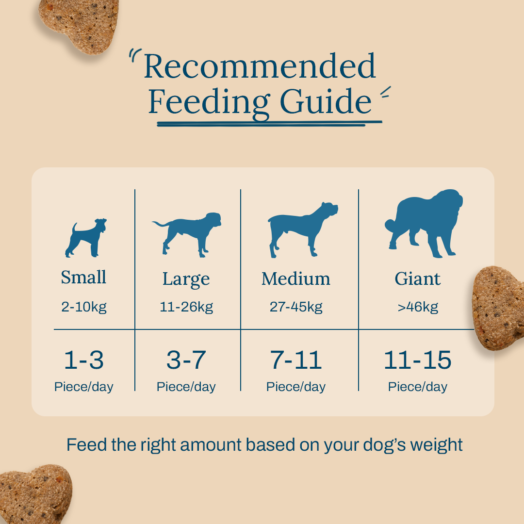 Blueberry Bliss: Natural, No-Preservatives Treats for Dogs | 100% Vegetarian