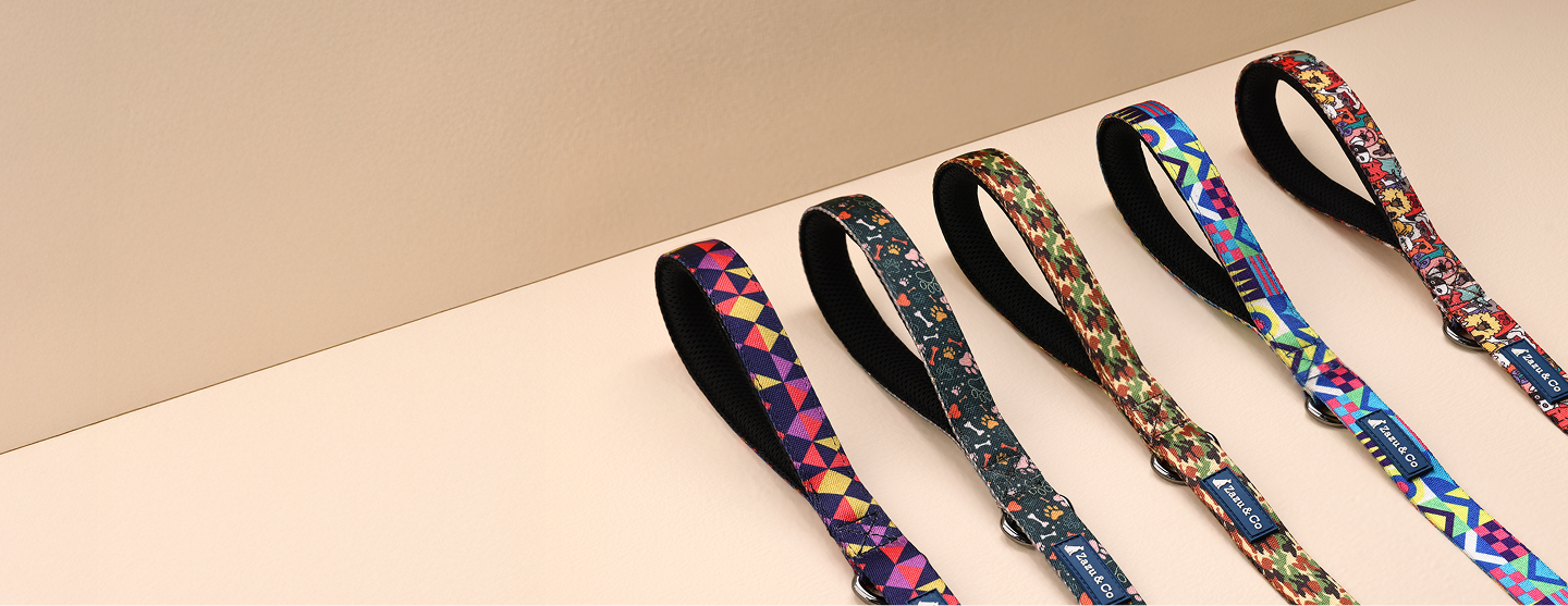 slider image slider_item_NyQDW4