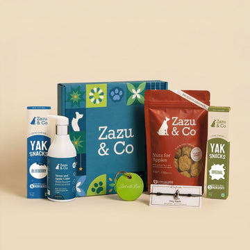 Premium Rakhi Gift Box for Dogs