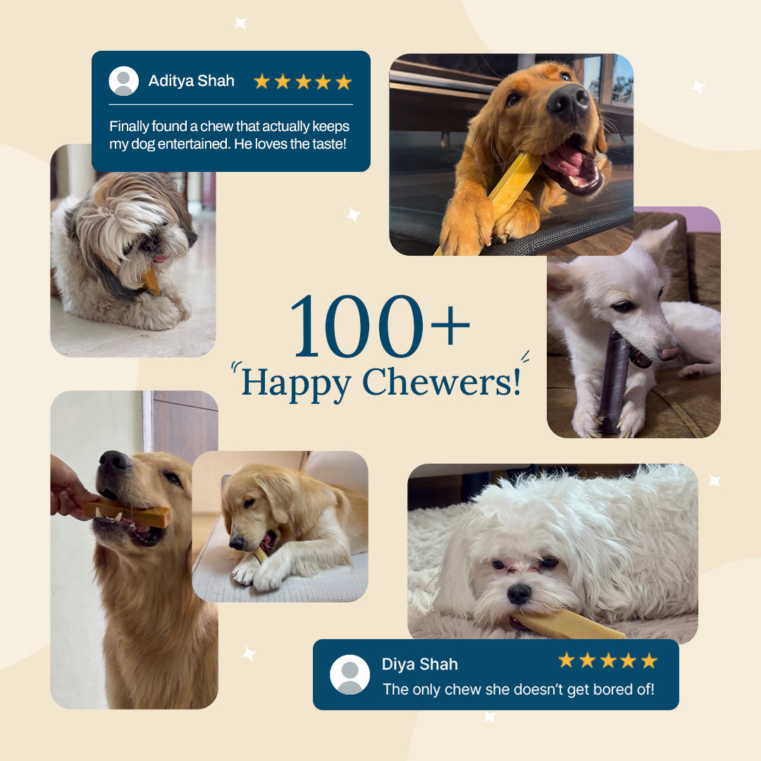 4 Yak Snacks Trial Pack - 100% Natural Yak Chews Bundle For Dogs