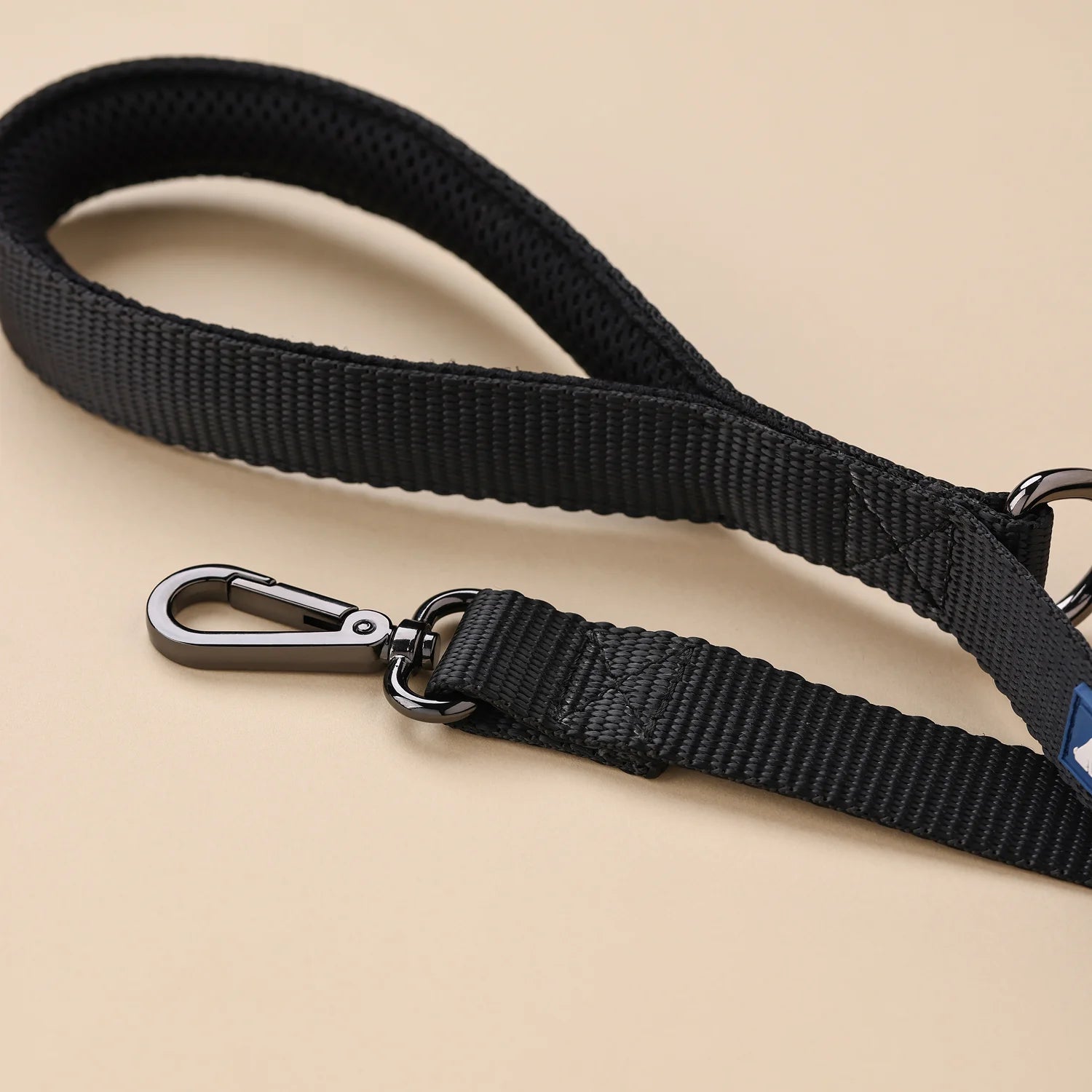 Basic Webbing Leashes