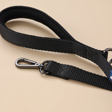 Basic Webbing Leashes