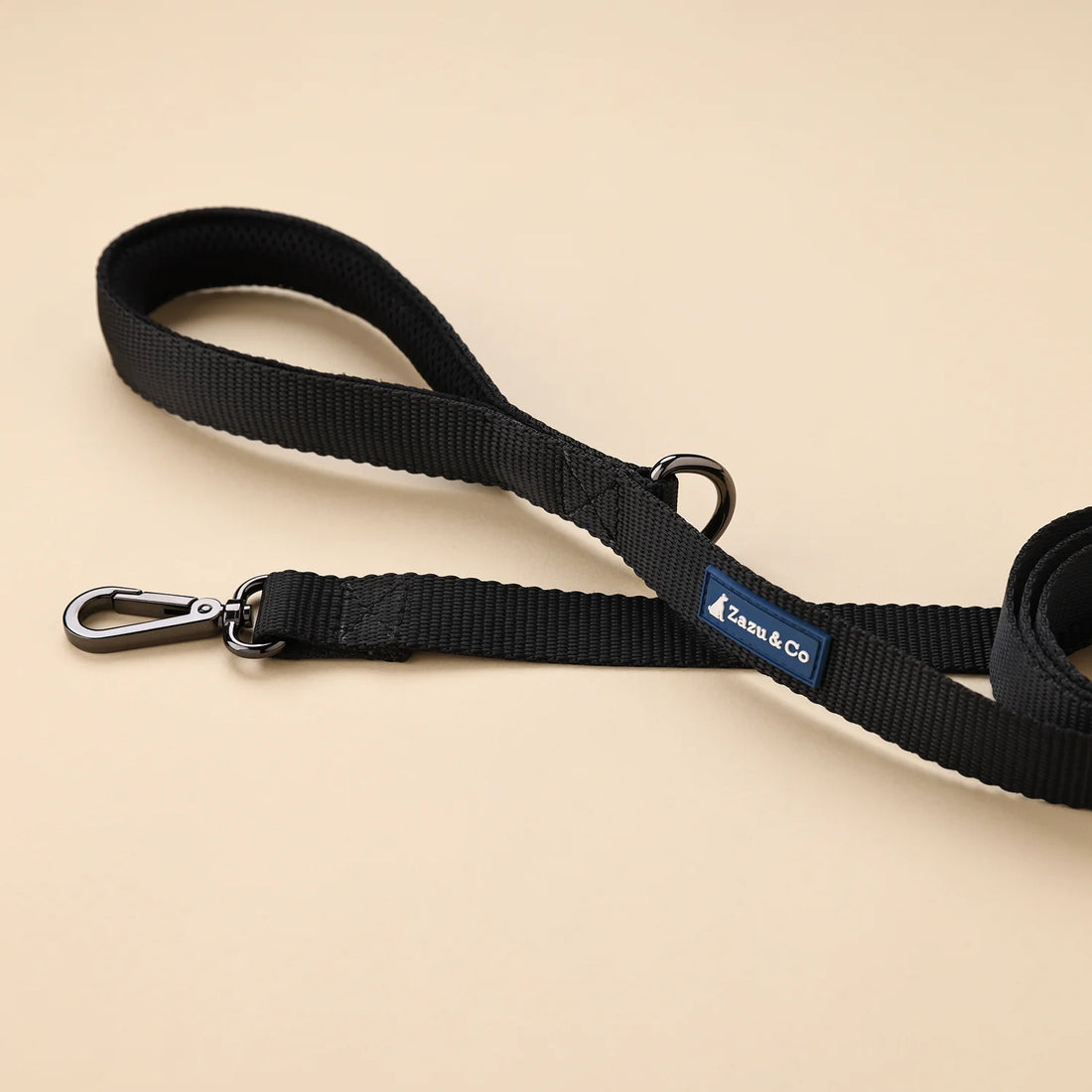Basic Webbing Leashes