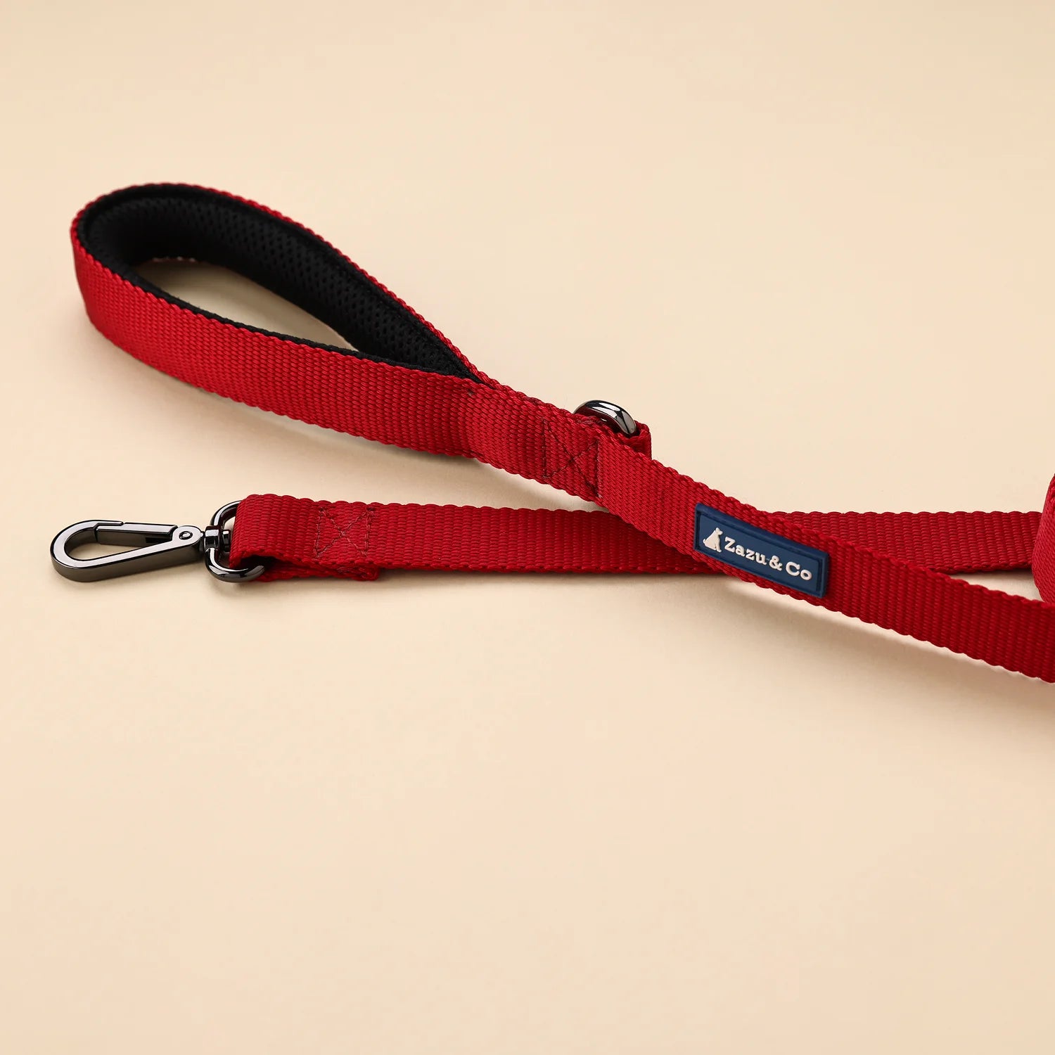 Basic Webbing Leashes
