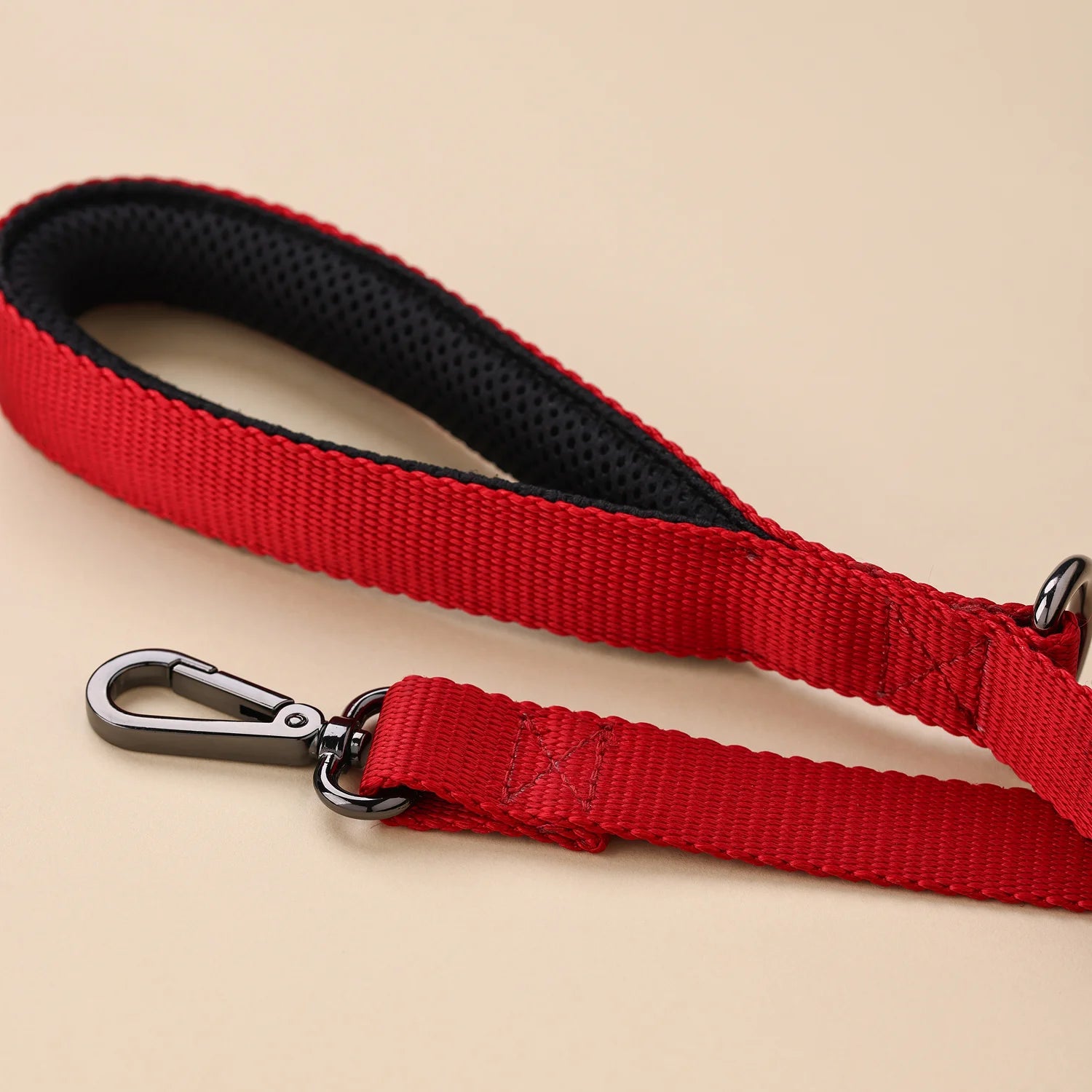 Basic Webbing Leashes
