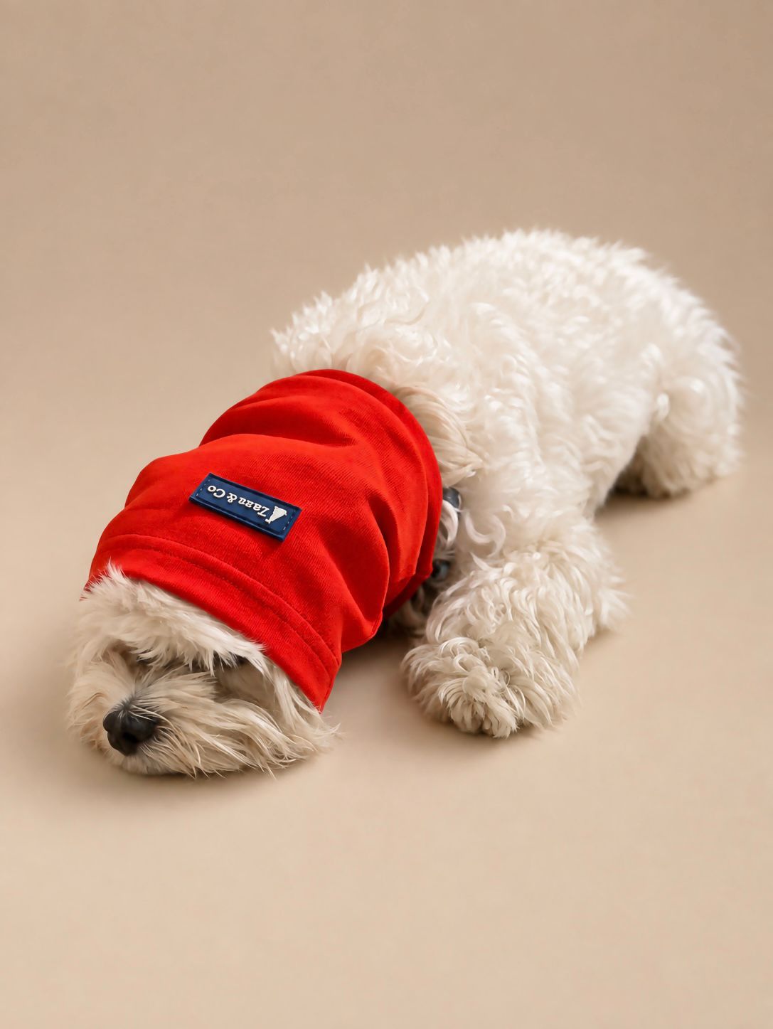 Dog Snood | Ear Muffler & Warmer for Puppies & Dogs