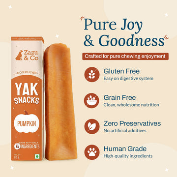 Pumpkin Yak Snacks | 100% Natural Himalayan Milk Yak Chews