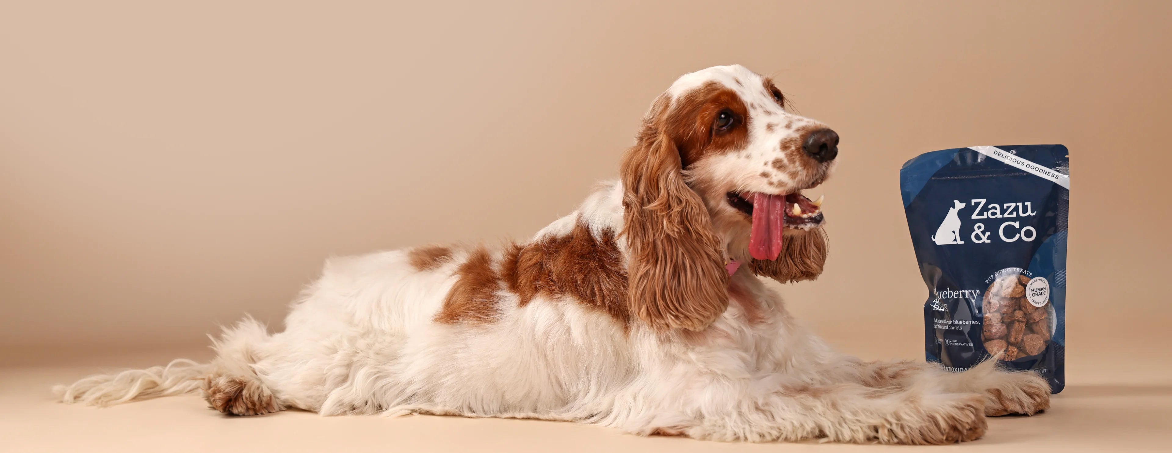 slider image 1621243260e1af0c20-0
