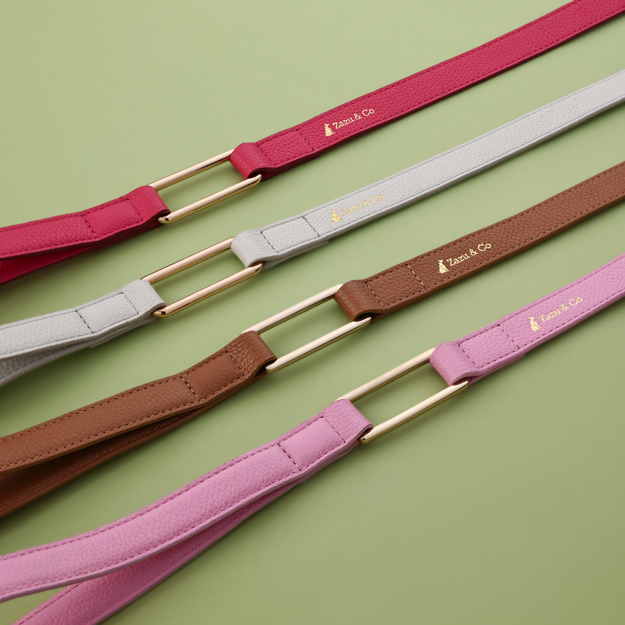 Leather leashes