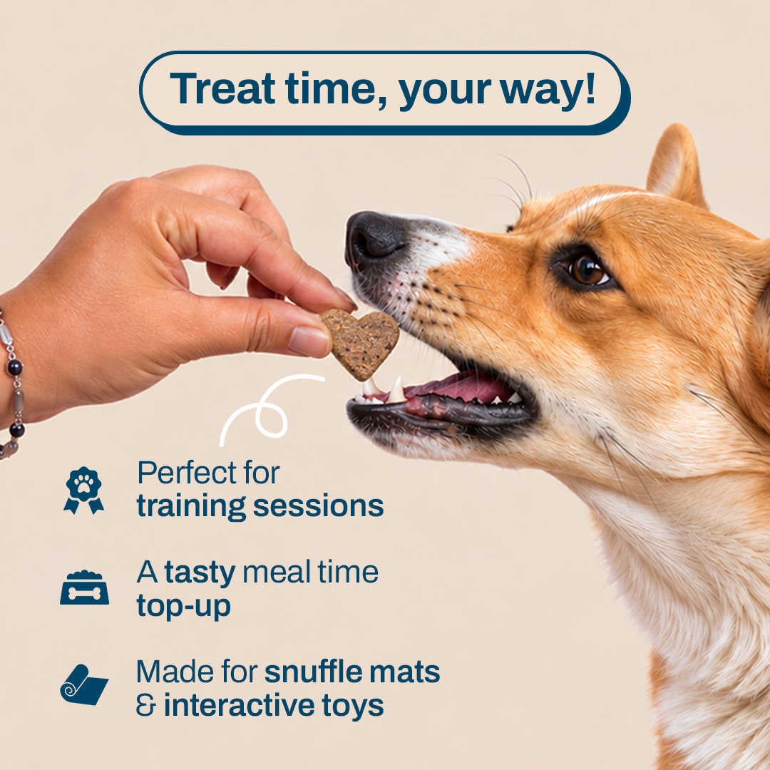 Blueberry Bliss: Natural, No-Preservatives Treats for Dogs | 100% Vegetarian