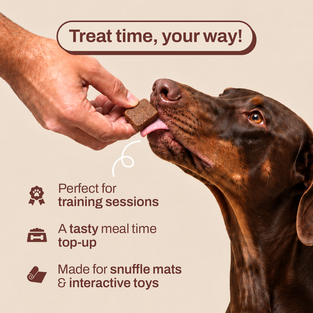 Carob Brownie Bites: Delicious & Healthy Treats for Dogs