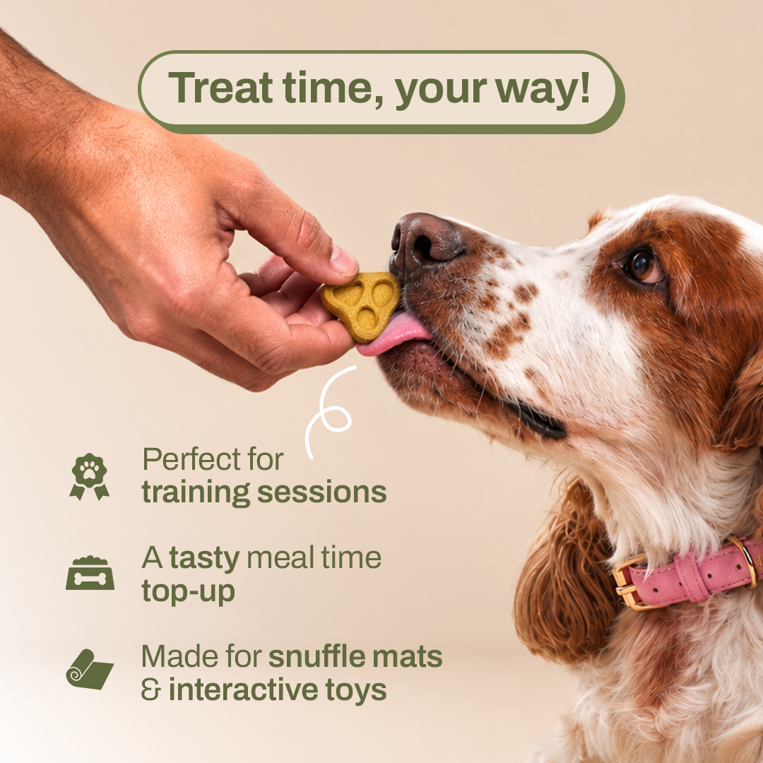 Lamb Chops: 100% Real & Preservatives Free Natural Dog Treats