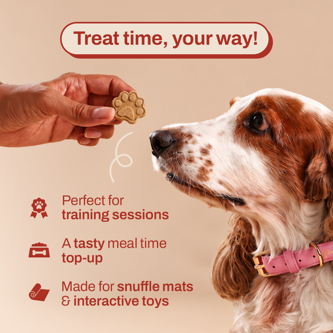 Nuts for Apples | 100% Natural Preservative Free |  Premium Vegetarian Dog Treats
